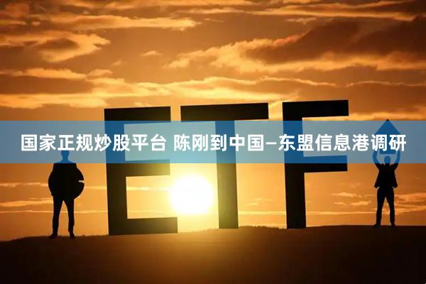 国家正规炒股平台 陈刚到中国—东盟信息港调研