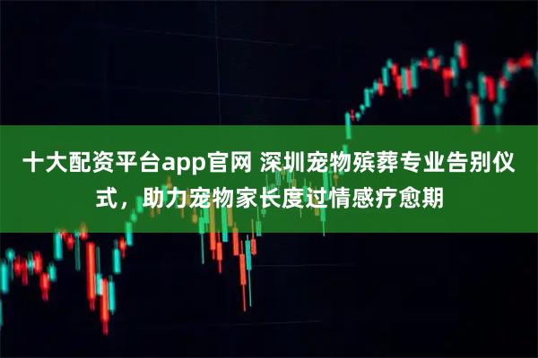 十大配资平台app官网 深圳宠物殡葬专业告别仪式，助力宠物家长度过情感疗愈期