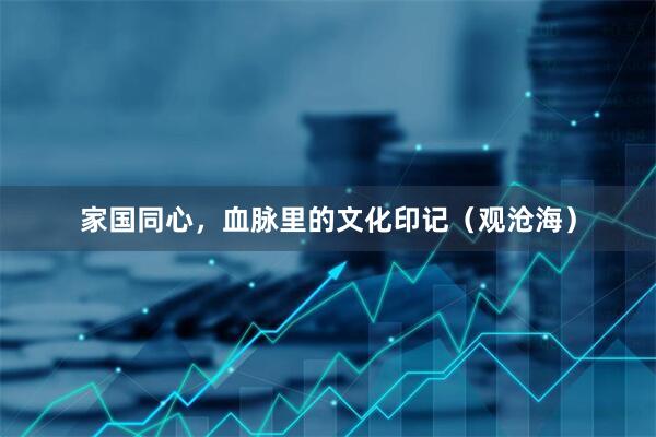 家国同心，血脉里的文化印记（观沧海）
