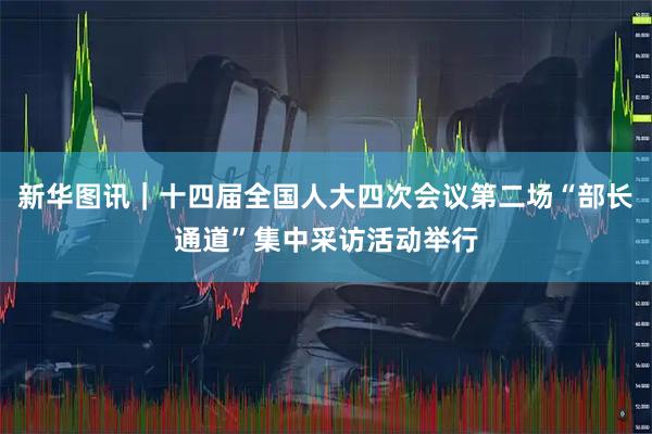 新华图讯｜十四届全国人大四次会议第二场“部长通道”集中采访活动举行