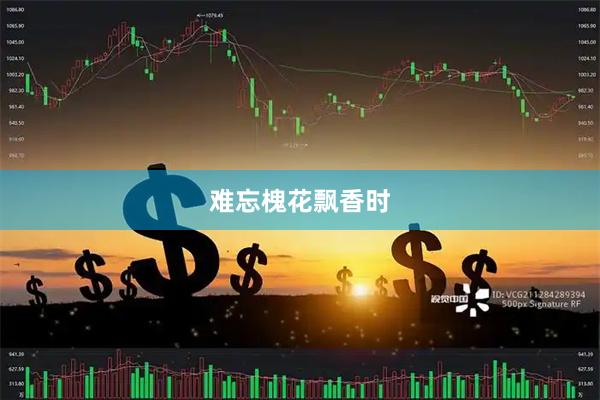 难忘槐花飘香时