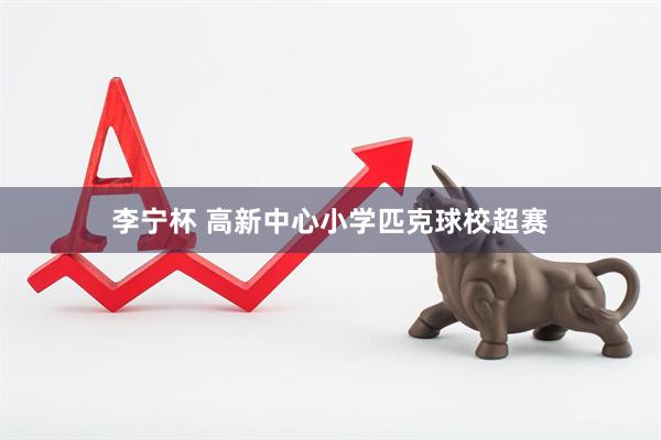 李宁杯 高新中心小学匹克球校超赛